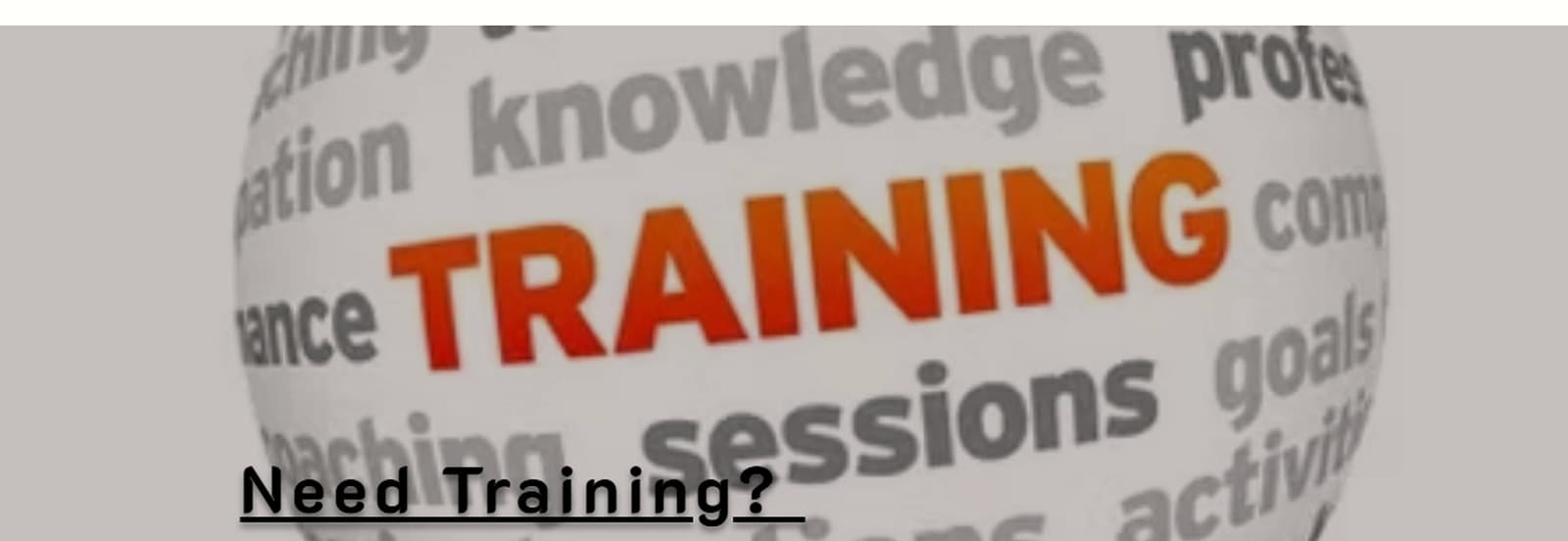 A globe covered in words such as training, knowledge, sessions and goals.